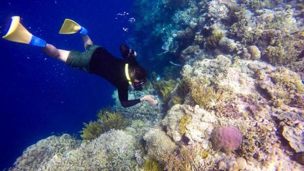 Hotel Batu Ampar Menjangan Banyuwedang Esterno foto